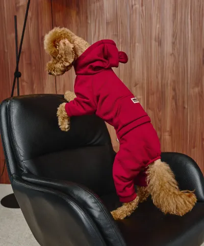 Костюм Dogs Bomba с карманом марсала