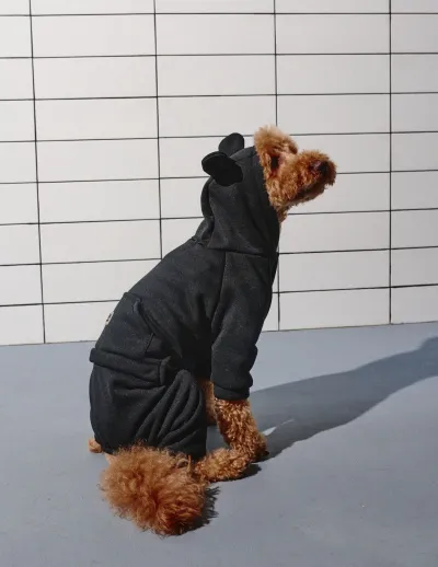 Костюм Dogs Bomba с карманом черный