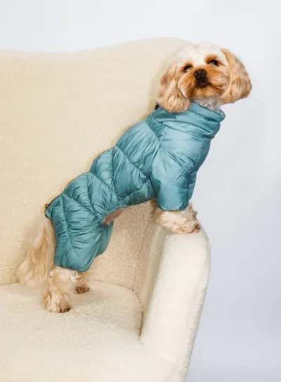 Зимний комбинезон Comfort мята