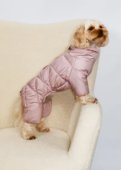 Зимний комбинезон Comfort пудра