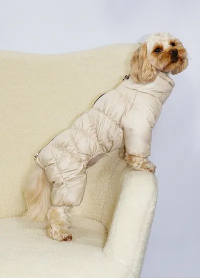 Зимний комбинезон Comfort беж