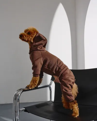 Костюм Dogs Bomba з кишенею шоколад
