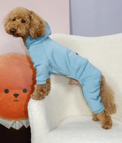 Костюм Dogs Bomba з кишенею бірюзовий