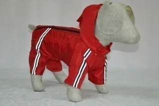 Дощовик Терьєр