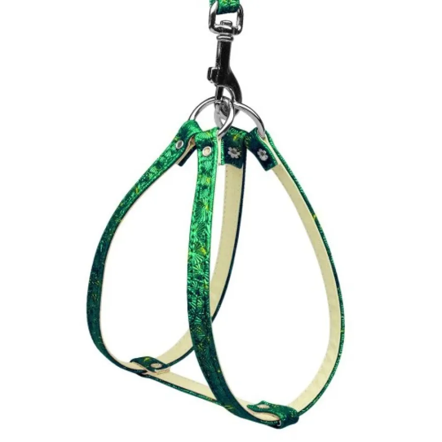 Шлея для маленьких собак кожаная Mirage Pet перламутровая зеленая — фото 1