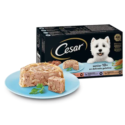 Консервы для собак CESAR Паштет "Senior 10+ для старых собак в желе" с сочным бычком и овощами 150г