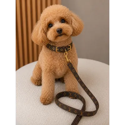 Нашийник і повідець для собак LOUIS VUITTON екошкіра, розмальовка з квітами, коричневий