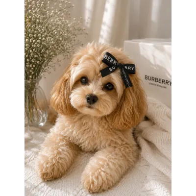 Заколка-бант Burberry для собак | Чёрный бантик с логотипом | Стильный аксессуар для груминга и фотосессий