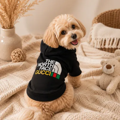 Худи для собак The North Face x Gucci черное с капюшоном и принтом