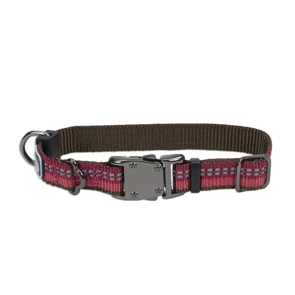 Coastal K9 Explorer Collar световозвращающий ошейник для собак, 1.6х20-30см — фото 1