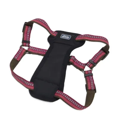 Coastal K9 Explorer Harness КОСТАЛ К9 ЕКСПЛОРЕР світловідбивна шлея з нагрудником для собак 20.4-45.3кг