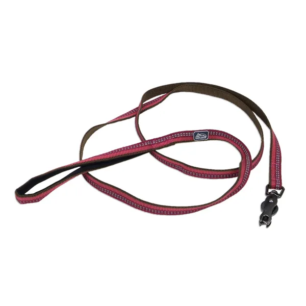 Coastal K9 Explorer Leash КОСТАЛ К9 ЕКСПЛОРЕР світловідбивний повідець для собак, 1.6смХ1.8м — фото 1