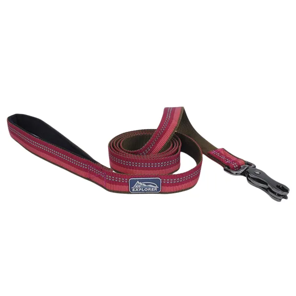 Coastal K9 Explorer Leash КОСТАЛ К9 ЕКСПЛОРЕР світловідбивний повідець для собак, 2.5смХ1.8м — фото 1