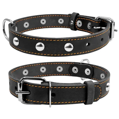 Ошейник "CoLLaR" одинарный с украшениями черный