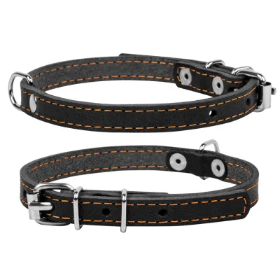 Ошейник «CoLLaR» одинарный черный