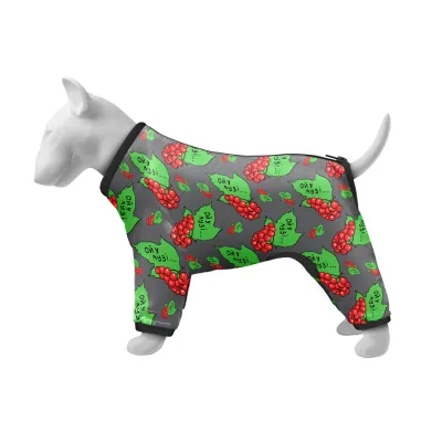 Ветровка для собак WAUDOG Clothes, рисунок «Калина»