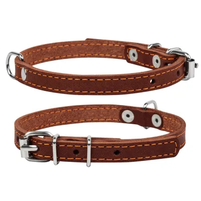 Нашийник "CoLLaR" одинарний коричневий
