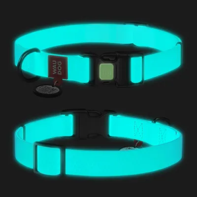 Водостойкий ошейник для собак WAUDOG Waterproof, светонакопительный