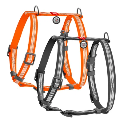 Шлея для собак водостойкая анатомическая Н-образная WAUDOG Waterproof с QR-паспортом, светоотражающая, пластиковая пряжка-фастекс, оранжевый