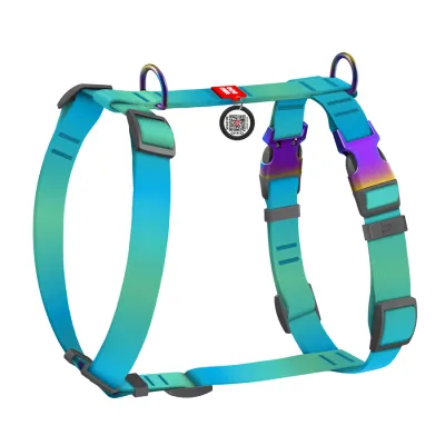 Шлея для собак WAUDOG Nylon Recycled, H-подібна, QR-паспорт, 25 мм, блакитний