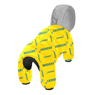 Комбинезон для собак WAUDOG Clothes рисунок «Смелость»