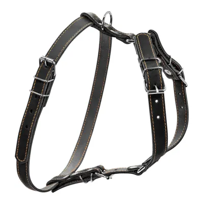 Шлея "CoLLaR" одинарная для малых и средних собак (ширина 20мм, А:40-56см, В:57-65см) черный