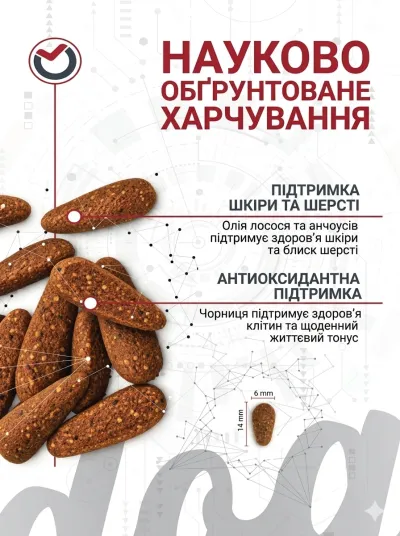 Сухий корм для собак ProScience Adult Dog Salmon & Blueberry