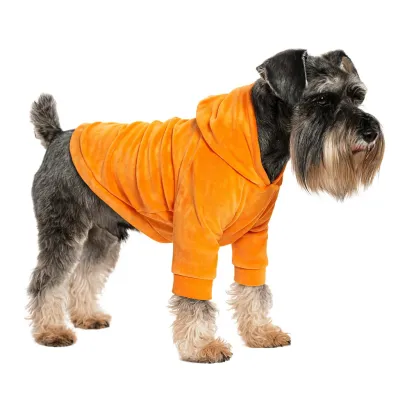 Кофта для собак DIEGO hoodie print 4 помаранчевий