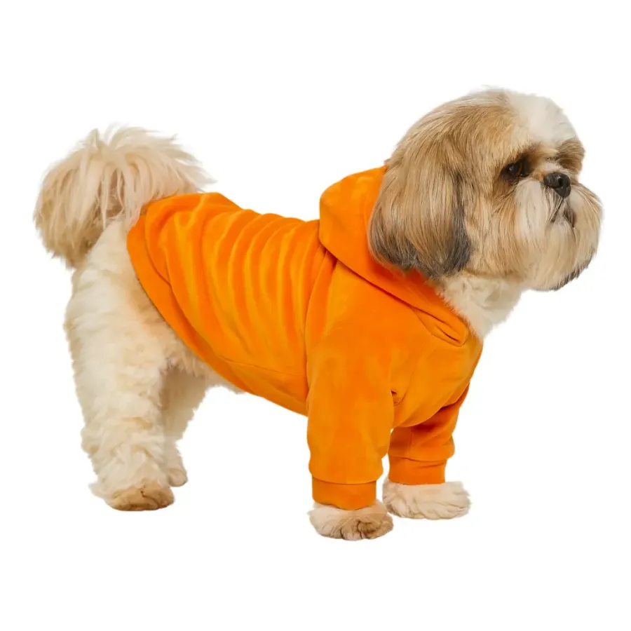 Кофта для собак DIEGO hoodie print 4 оранжевый — фото 1