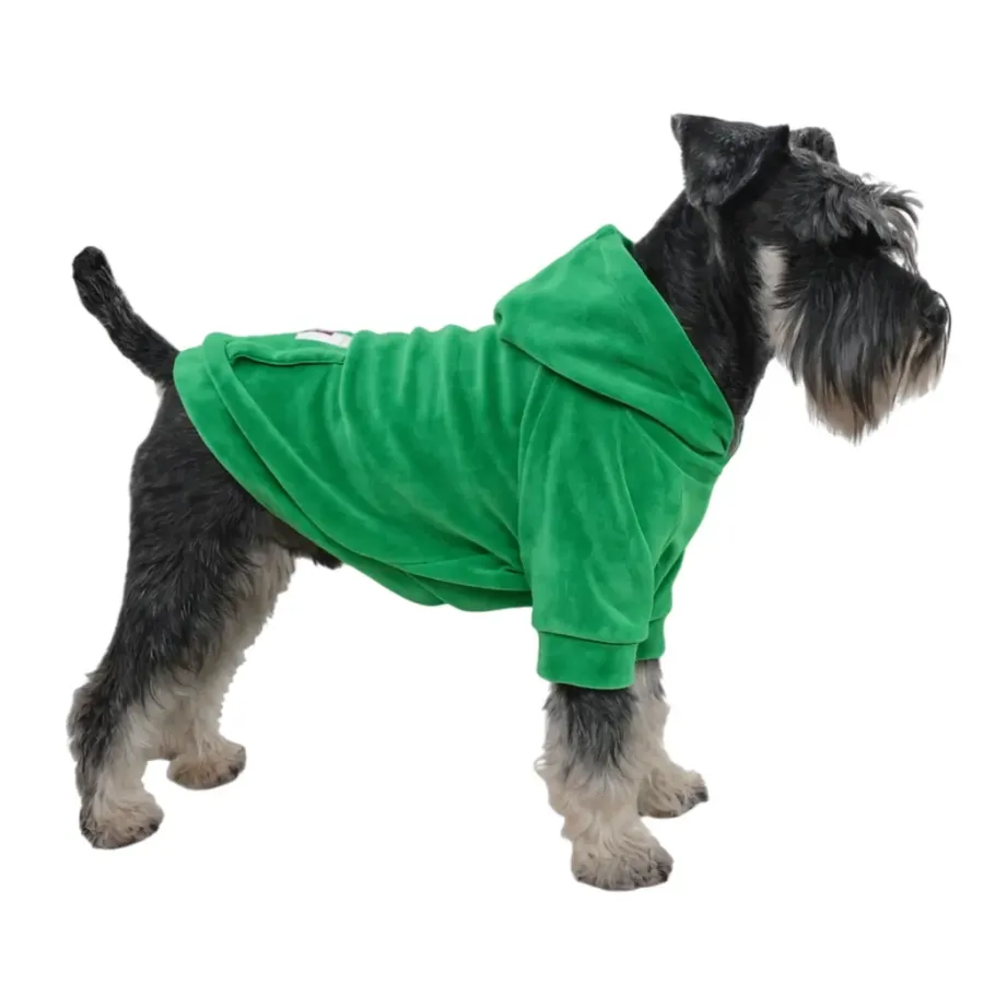 Кофта для собак DIEGO hoodie print 3 зелений — фото 1