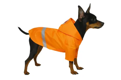 Куртка для собак DIEGO jacket, оранжевая