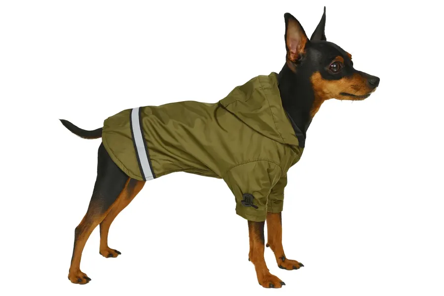 Куртка для собак DIEGO jacket, хаки — фото 1
