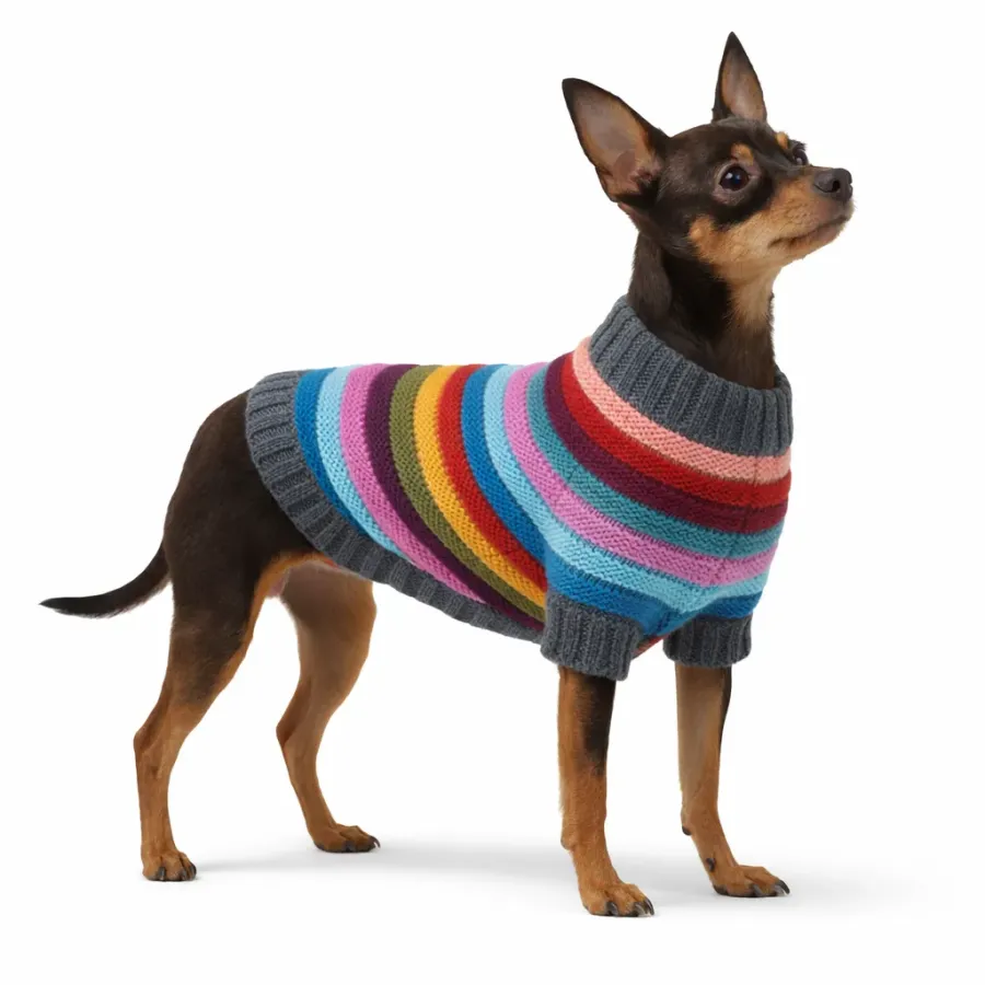 Светр для тварин DIEGO sweater темна смужка — фото 1
