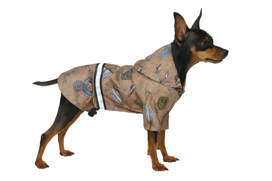 Куртка для собак DIEGO jacket медведь — фото 1