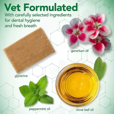 Dental Foam 150ml