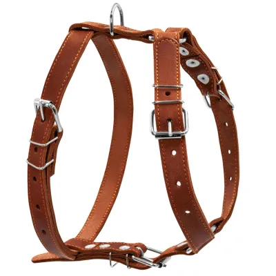 Шлея "CoLLaR" одинарная для средних собак (ширина 25мм, А:49-68см, В:68-80см) коричневый